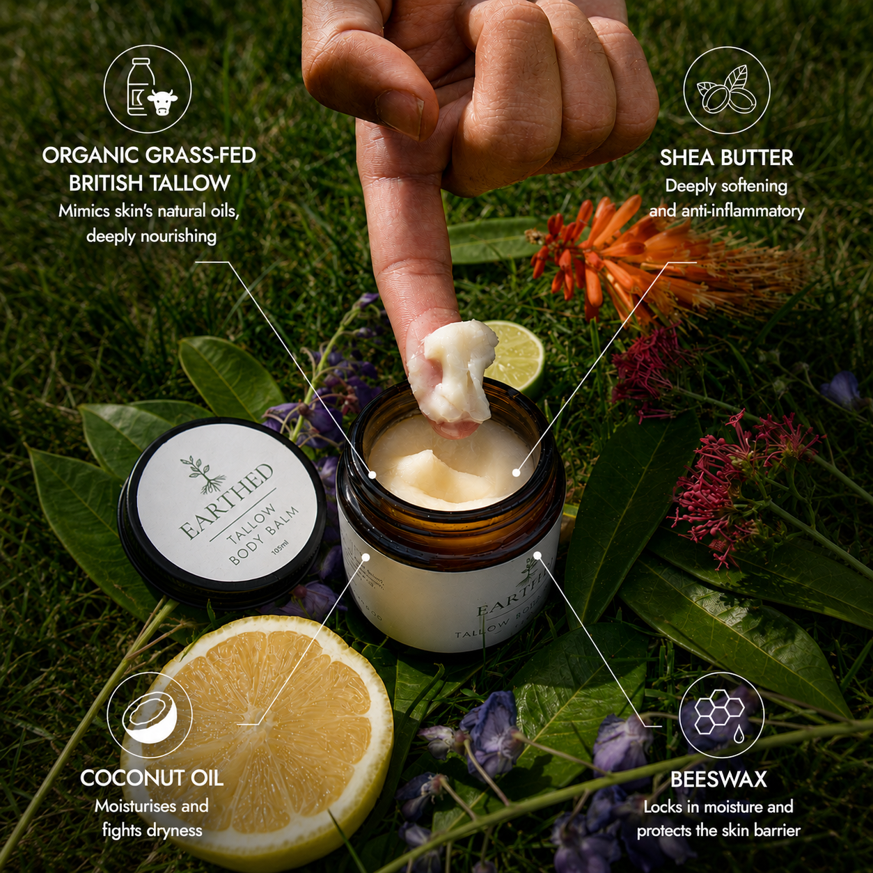 Tallow ingredients